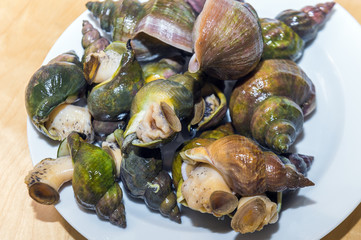 A Boiled wing shell fresh and yummy