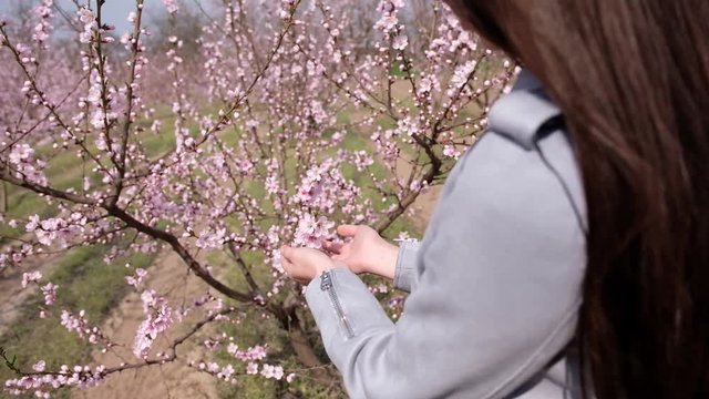 A girl by the tree of a blossoming peach. A branch of a flowering fruit plant in the hands of a girl.