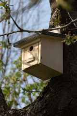Vogelhaus / Nistkasten