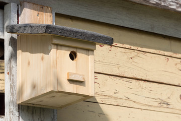 Vogelhaus, Nistkasten Variation
