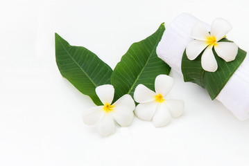 Obraz premium Frangipani plumeria Spa Flower on white wooden. Thai Spa. Healthy Concept
