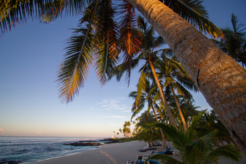 Return to Paradise Beach mood