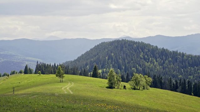 Valley of the Carpathian Mountains - Ukraine, Carpathians