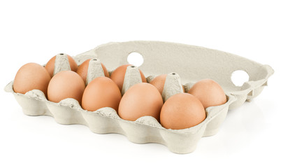 Brown chicken eggs in an open grey carton box isolated on white background set of ten.