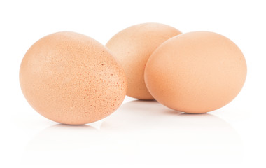 Three brown chicken eggs isolated on white background domestic.