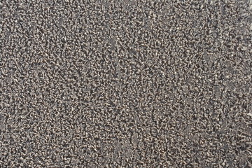 A layer of dense snow on the surface of the earth