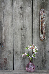 Wooden background texture blossom sacura flower old vintage aged