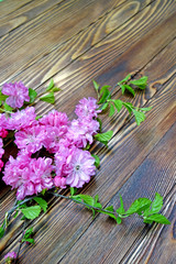 Wooden table brown dark background texture purple flower old vintage aged