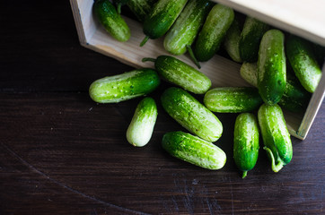 Organic food concept