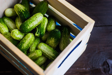 Organic food concept