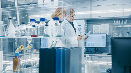 Female and Male Senior Scientists Walking Through Busy Modern Laboratory. They Have  Discussion...