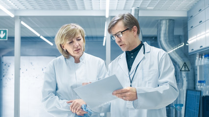Female and Male Chief Scientists Walking Through Modern Laboratory and Discussing Future Possibilities. Young Woman Assistant Works at Her Desk.
