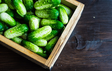 Organic food concept