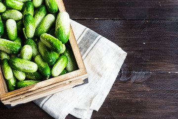 Organic food concept