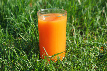 Glass of fresh carrot or orange juice in grass on ground outdoors