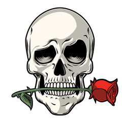 Hand Drawn Skull with a Rose - Skull with funny look holding a rose between his teeth