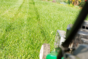 Freshly mowed lawn in the garden with lawnmower in the foreground