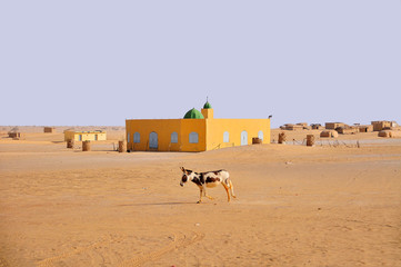 Village on the area of the Sahara desert  in north Chad
