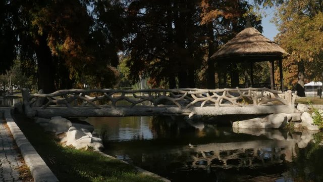 Autumn in Romanian park slow tilt  footage - Yellow and orange colors in city of Craiova