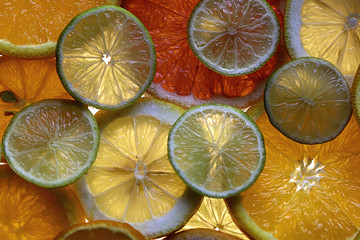 Citrus background. Transparent slices of various citrus species.	