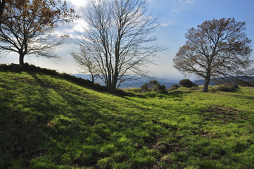 Paesaggio e panorama collinare con alberi, prato e vista su altre colline. Castelli romani, Lazio, Italia	