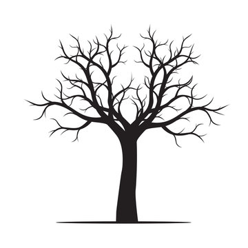 Shape of black naked Tree. Vector Illustration.