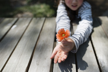 ヒナゲシの花を差し出す女の子