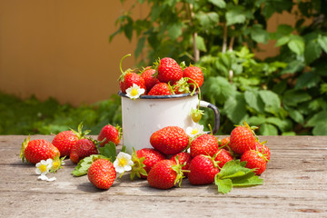 Red ripe strawberries in white cup outdoors