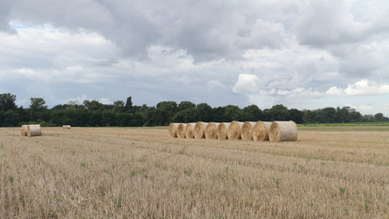 Fototapeta premium Stroh-Ballen auf dem Feld