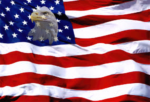 american flag with eagle head in the field of stars