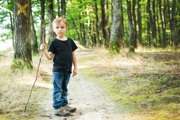 Happy little boy hiking in forest, summer holiday