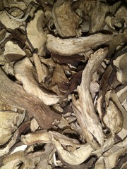 Mushrooms