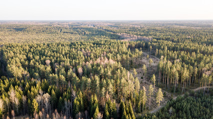 drone image. aerial view of rural area with swamps, lakes and forests