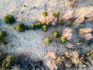 drone image. aerial view of rural area with swamps, lakes and forests