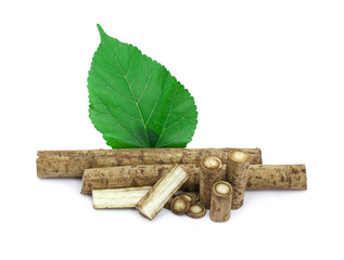 Burdock roots isolated white background