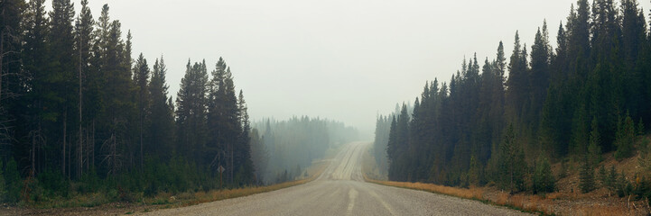 Fototapeta na wymiar Foggy road