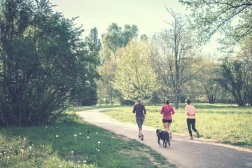group of women running at park, jogging with a dog in a green nature (picture vintage effect)