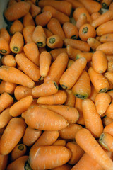 vente de carottes