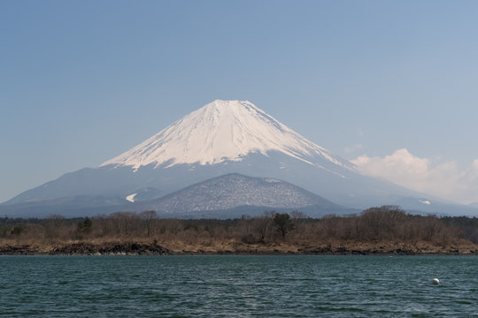 Mountain Fuji and Shojiko lake in spring season