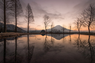Obraz premium Mountain Fuji in the morning at Fumotopara camping ground, Fujinomiya , Shizuoka prefecture