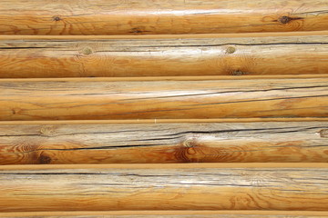 log texture