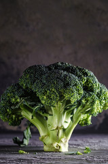 Fresh green broccoli tree on grey background. Healthy eating concept.