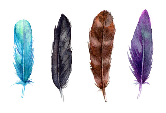 watercolor illustration set colorful feathers. hand painted isolated elements.