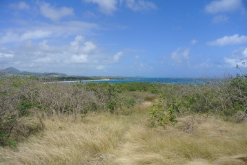 Martinique