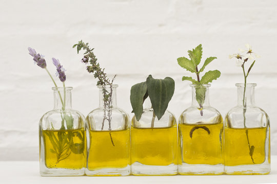 lavender flower, thyme, rosemary, parsley flower and basil in bottles of oil essence
