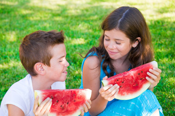 Children eating juicy watermelon outdoors on grass 