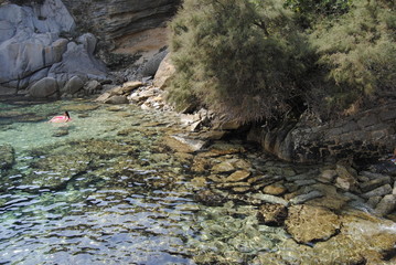 Bahía, cala, de agua tuquesa, transparente, en Cerdeña, Sardignia, Italia
