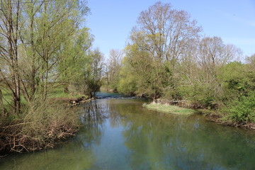 Belle rivière au printemps