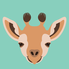 Giraffe head vector illustration flat style front