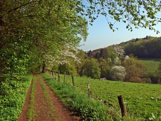 Bergisches Land, Odenthal, Nordrhein-Westfalen
